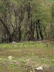 07 Ridge Rd, South Park, PA 15129