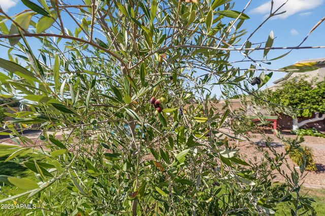 2908 N 141ST Avenue, Goodyear, AZ 85395