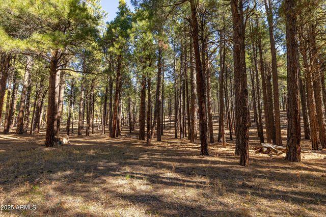 2750 W FOREST HILLS Drive, Flagstaff, AZ 86001