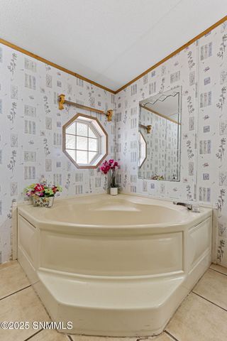 610 Golden Eagle Trail, Chaparral, NM 88081