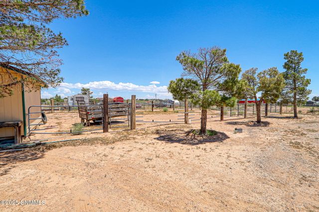610 Golden Eagle Trail, Chaparral, NM 88081