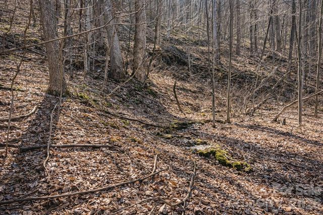 4 Buckeye Road 63, Maggie Valley, NC 28751