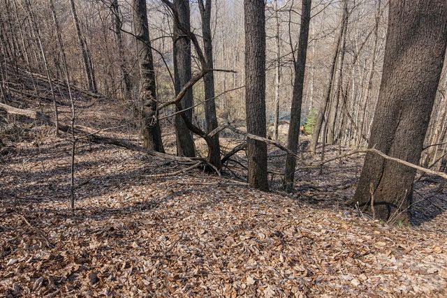 4 Buckeye Road 63, Maggie Valley, NC 28751