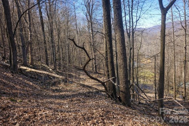 4 Buckeye Road 63, Maggie Valley, NC 28751