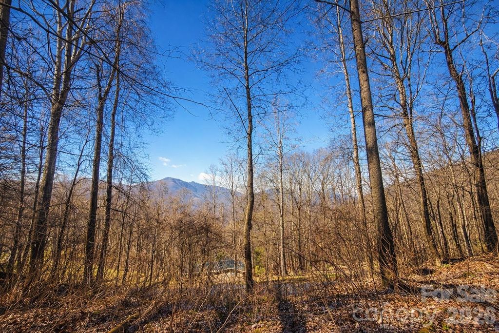 4 Buckeye Road 63, Maggie Valley, NC 28751