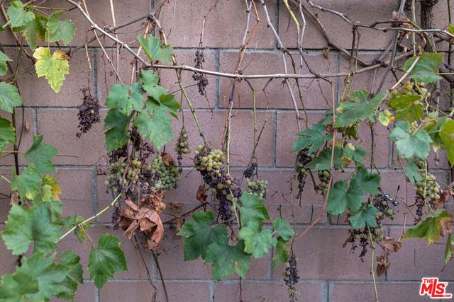 1809 N Rose Street, Burbank, CA 91505