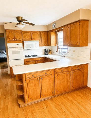 10828 S Kilbourn Avenue, Oak Lawn, IL 60453