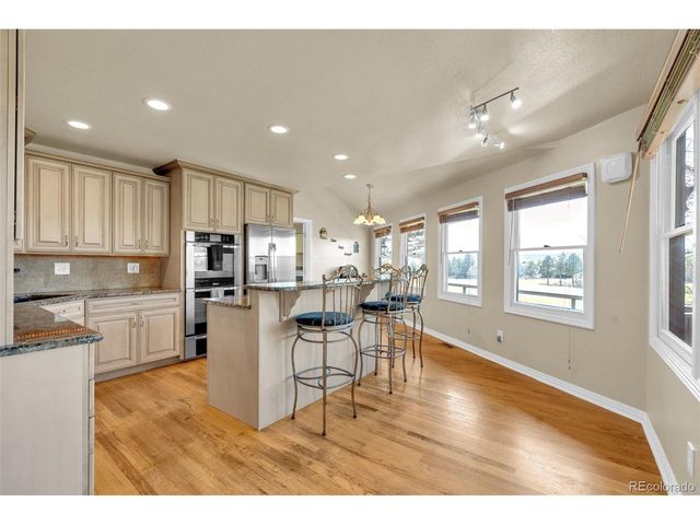 157 Cheney Pl, Castle Rock, CO 80104
