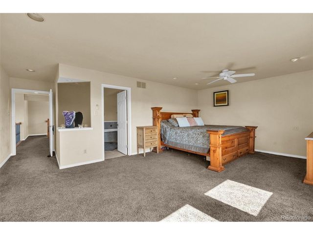 157 Cheney Pl, Castle Rock, CO 80104