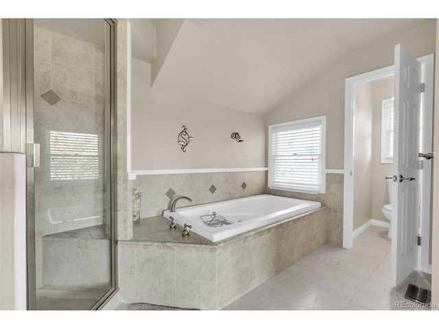 157 Cheney Pl, Castle Rock, CO 80104