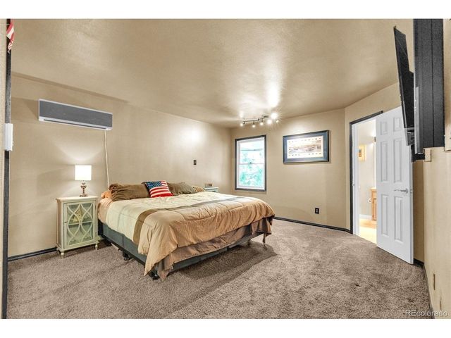 157 Cheney Pl, Castle Rock, CO 80104