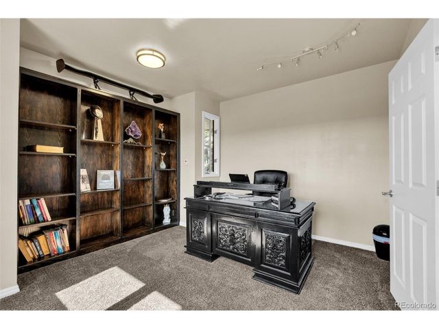 157 Cheney Pl, Castle Rock, CO 80104