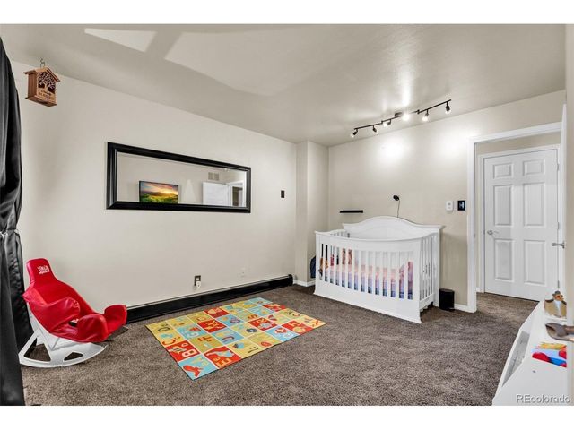 157 Cheney Pl, Castle Rock, CO 80104
