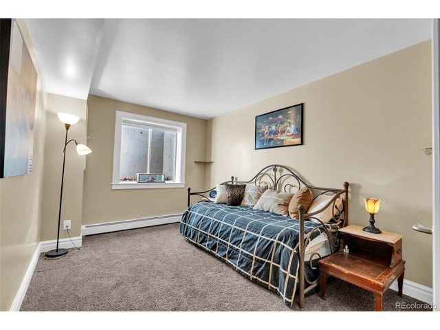 157 Cheney Pl, Castle Rock, CO 80104