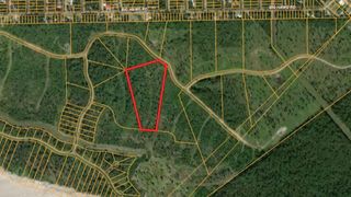 TBD Eagle Falls Boulevard, Trinity, TX 75862
