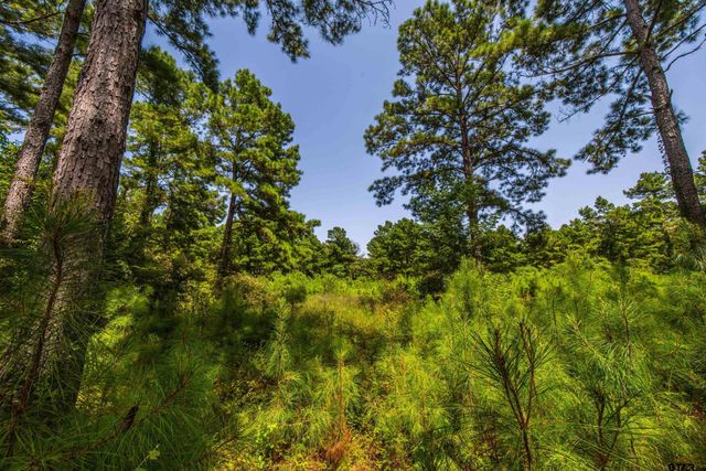 Tract 7 CR 4221, Frankston, TX 75763