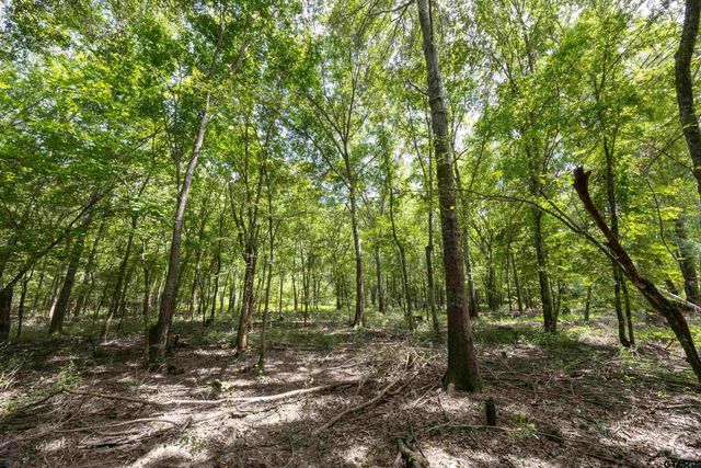 Tract 7 CR 4221, Frankston, TX 75763