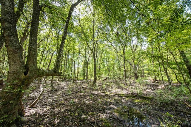 Tract 7 CR 4221, Frankston, TX 75763