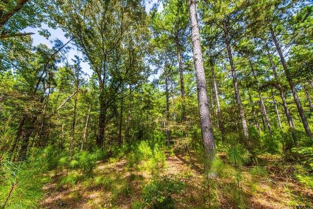 Tract 7 CR 4221, Frankston, TX 75763