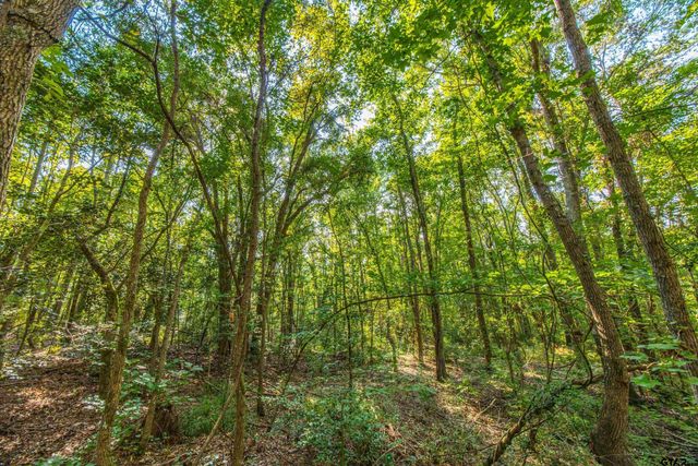 Tract 7 CR 4221, Frankston, TX 75763