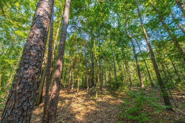 Tract 7 CR 4221, Frankston, TX 75763