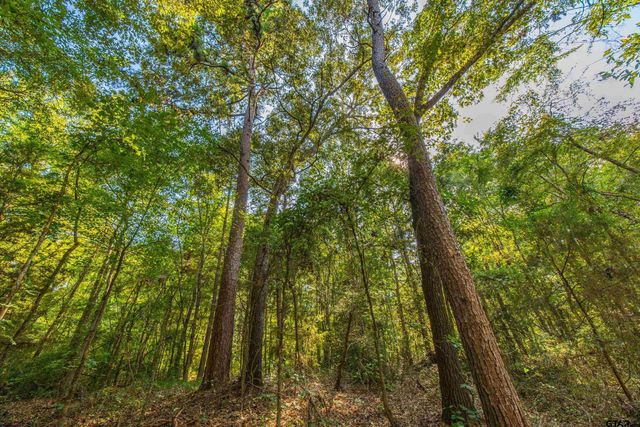 Tract 7 CR 4221, Frankston, TX 75763
