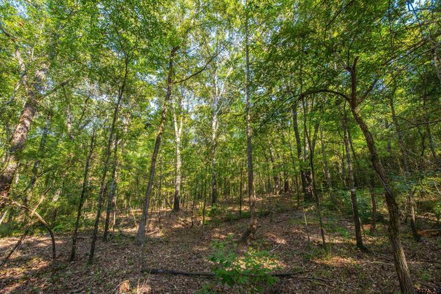 Tract 7 CR 4221, Frankston, TX 75763