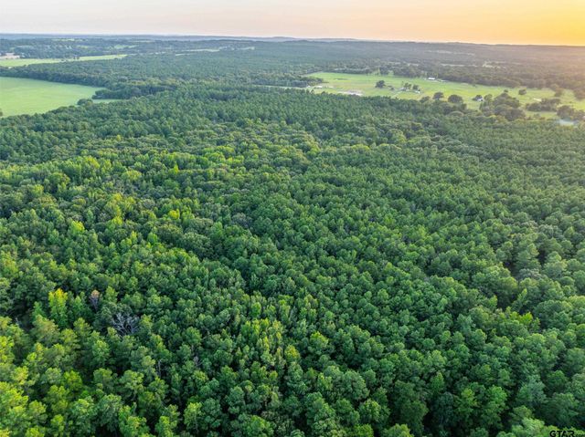 Tract 7 CR 4221, Frankston, TX 75763