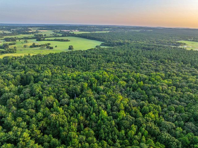Tract 7 CR 4221, Frankston, TX 75763