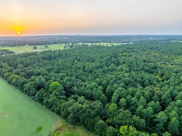 Tract 7 CR 4221, Frankston, TX 75763