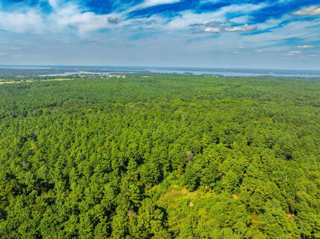 Tract 7 CR 4221, Frankston, TX 75763