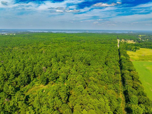 Tract 7 CR 4221, Frankston, TX 75763