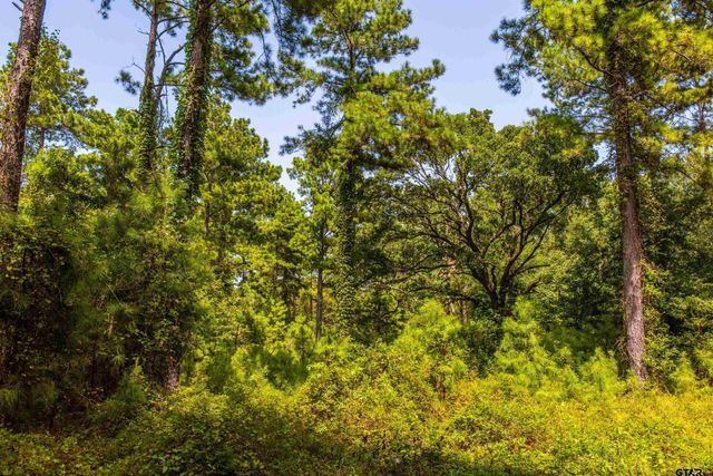 Tract 7 CR 4221, Frankston, TX 75763