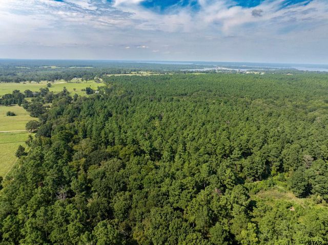 Tract 7 CR 4221, Frankston, TX 75763