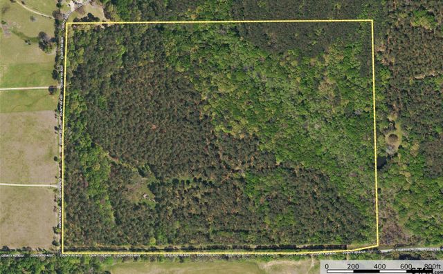 Tract 7 CR 4221, Frankston, TX 75763