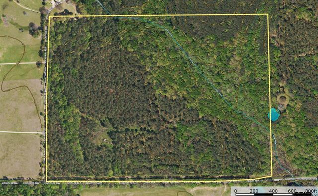 Tract 7 CR 4221, Frankston, TX 75763