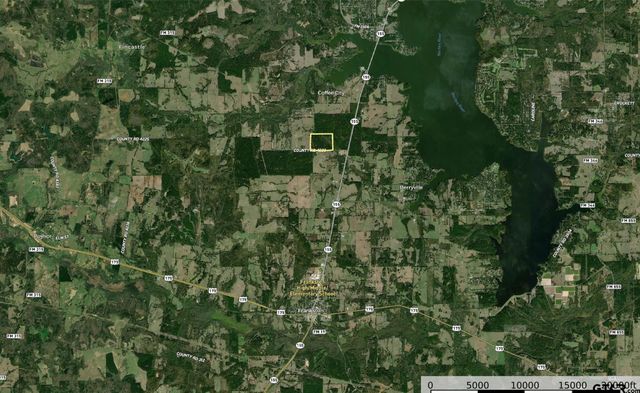 Tract 7 CR 4221, Frankston, TX 75763