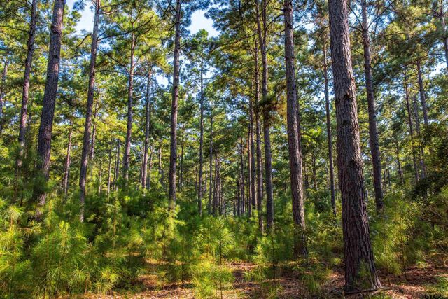 Tract 7 CR 4221, Frankston, TX 75763