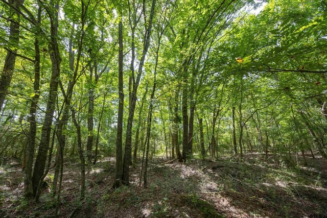 Tract 7 CR 4221, Frankston, TX 75763