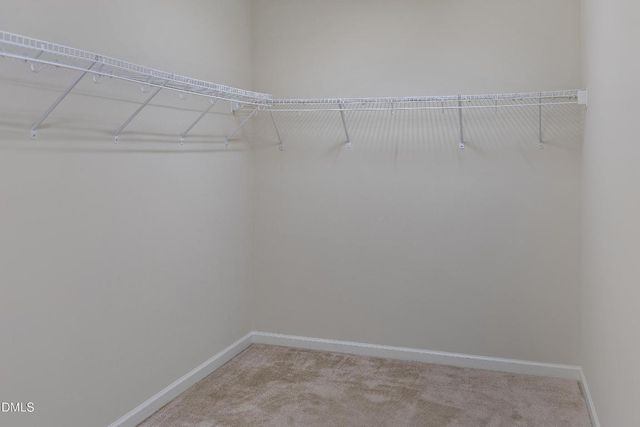 4249 Saubranch Hill Street, Raleigh, NC 27616