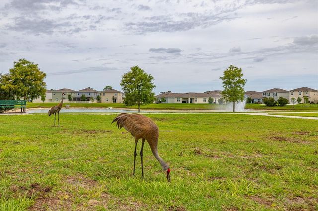 1273 RED HILL ROAD, Davenport, FL 33837
