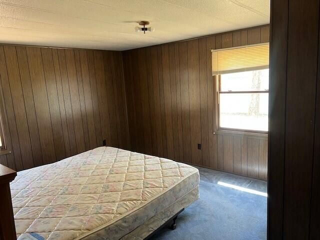 13553 S Star Lake Drive, Lake Twp, MI 49304