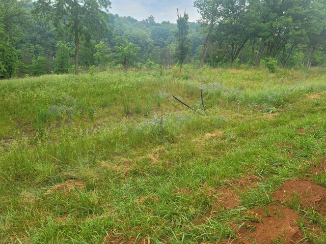 1953 Moorman RD, Hardy, VA 24101