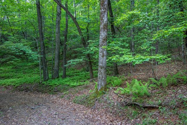 00 Laurel Mountain Road, Brasstown, NC 28902