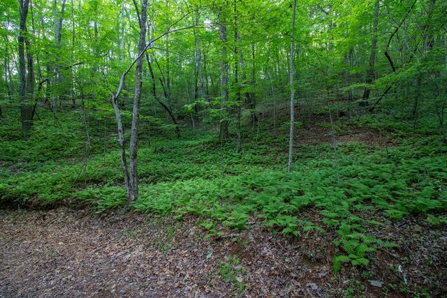00 Laurel Mountain Road, Brasstown, NC 28902