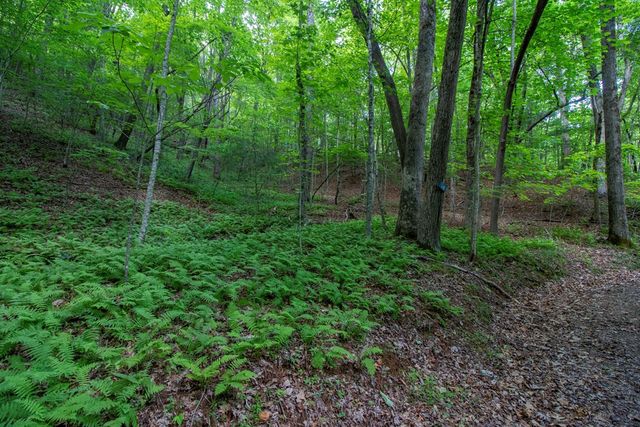00 Laurel Mountain Road, Brasstown, NC 28902