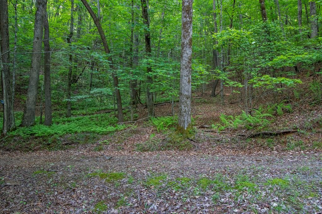 00 Laurel Mountain Road, Brasstown, NC 28902