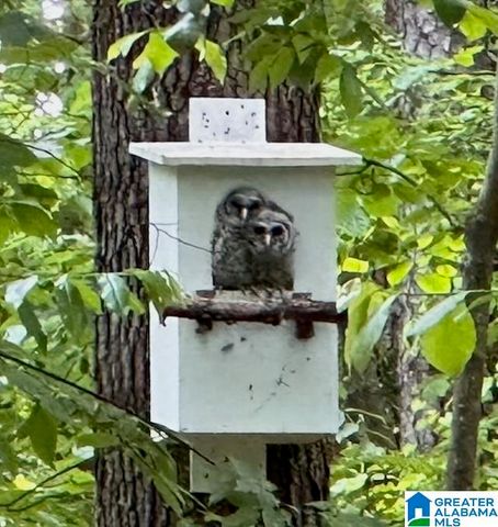 3038 TARALANE DRIVE, Vestavia Hills, AL 35216