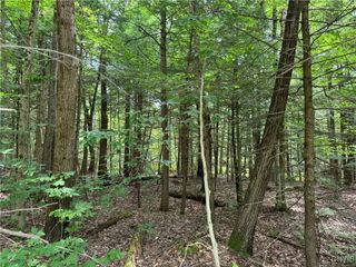L1 California Road, Vienna, NY 13316