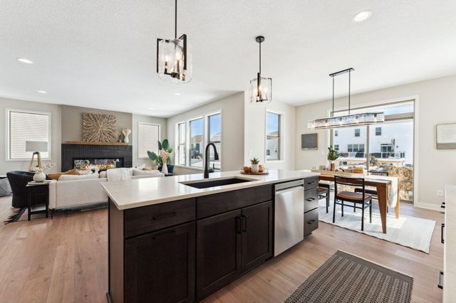 15032 Ardmullivan Lane, Rosemount, MN 55068